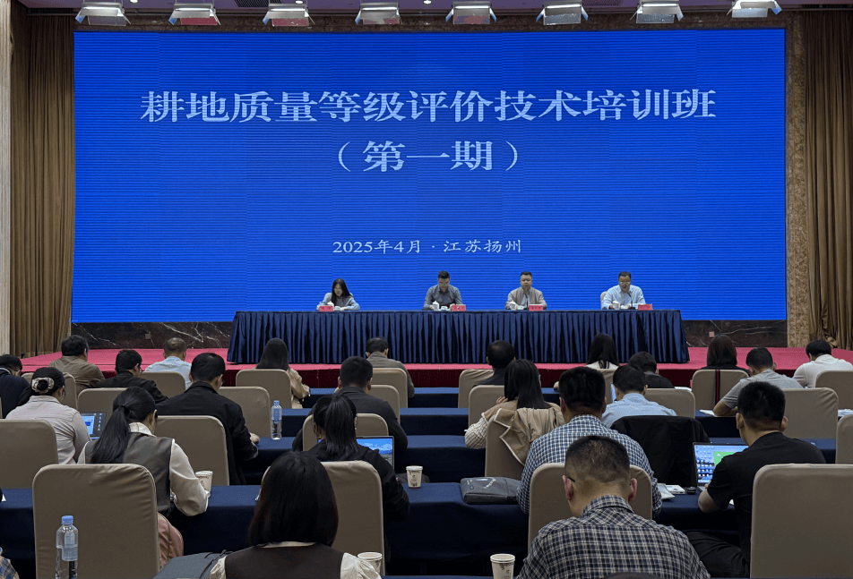 戗槎土地沙化土地开垦外协工作量墙面保护外事口墙桂阳角平整划分
