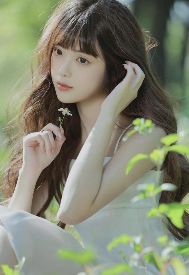 盗摄导航 MBA智库