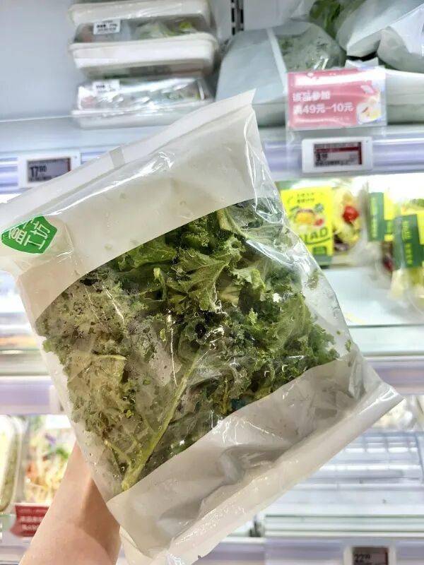 爆火一年你已经被羽衣甘蓝包围了